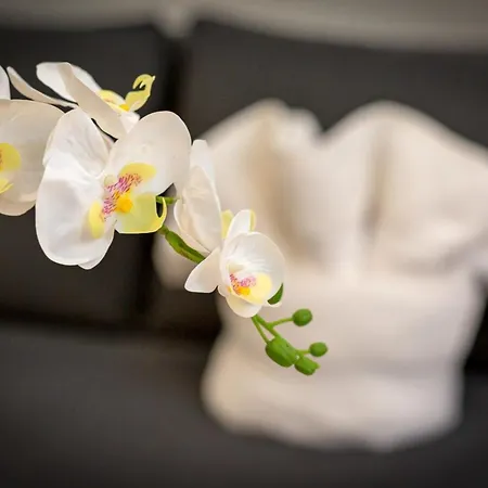 Christophe Centre * Rouen